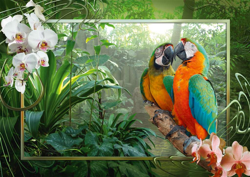 Ravensburger Cozy Macaws, Fraktal