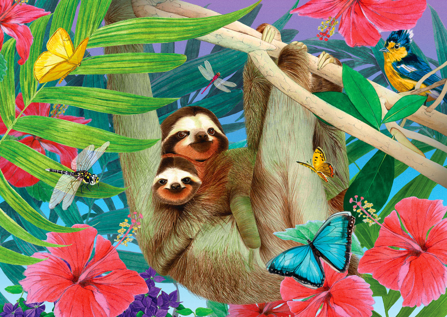 Sweet Sloths (1000pcs)