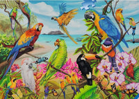 Ravensburger le Coo-au, Joelle McIntyre