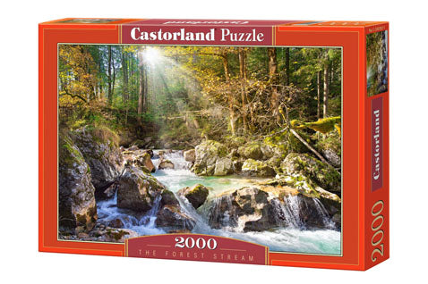 The Forest Stream