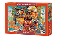 Owls, David Galchutt (2000pcs)
