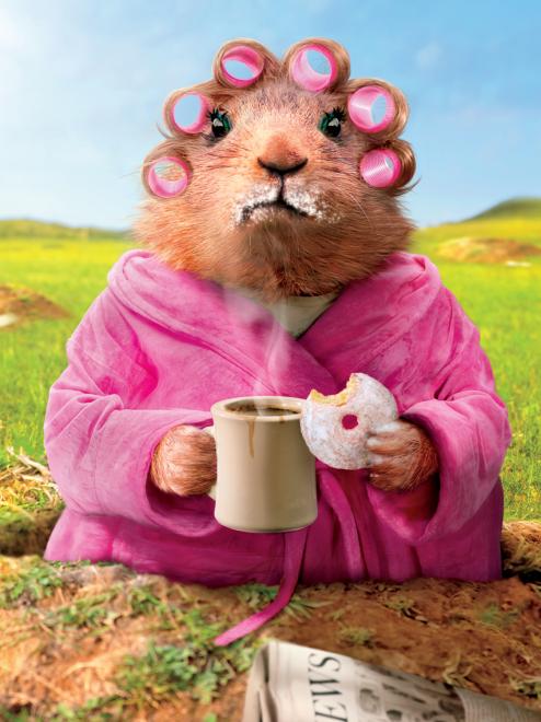 Morning Coffee