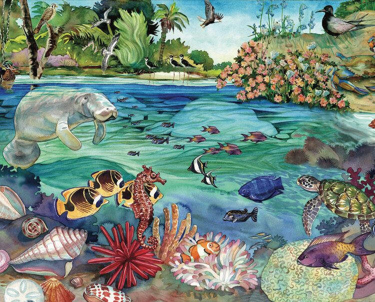Hart Florida Above and Below, Bradley Clark
