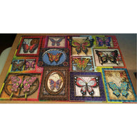 Papillons / papillons