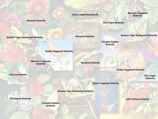 Jardin de papillons (500pcs)