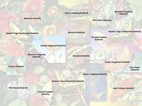 Jardin de papillons (500pcs)