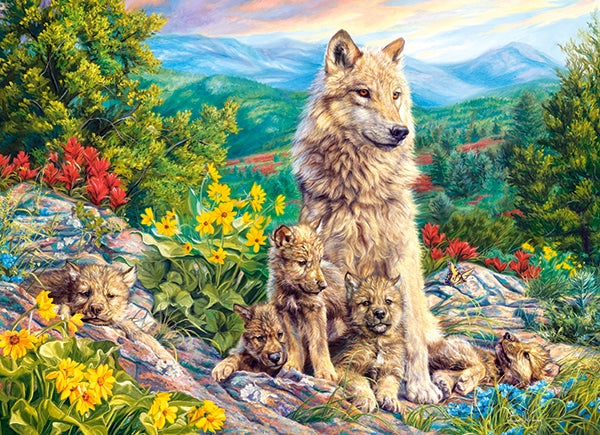 New Generation, 200pc
