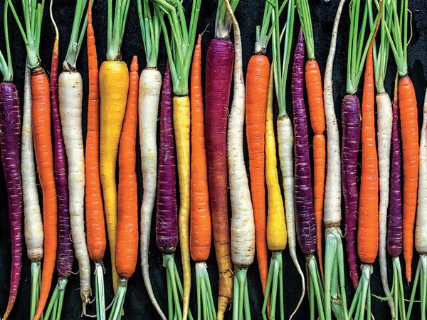 Ugly Produce - Rainbow Carrot Path