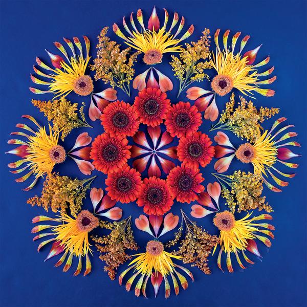 Danmala - Red