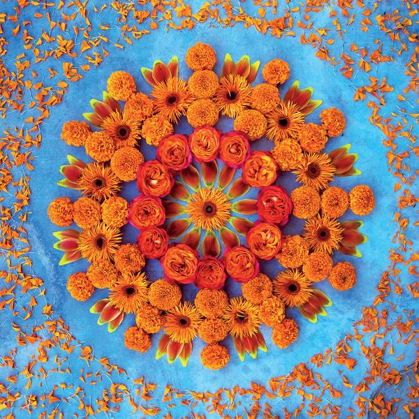 Danmala - Orange