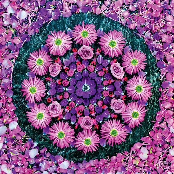 Danmala - Purple