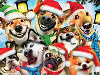 Selfies Noël - Christmas Cheer Selfie