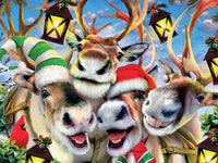 Selfies Noël - Selfie des rennes