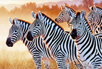 Zèbres