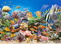 Couleurs de l'océan