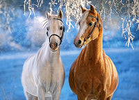 Les chevaux d'hiver, Castorland