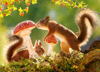 Squirrel's Forest Life