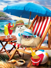 Chats de plage