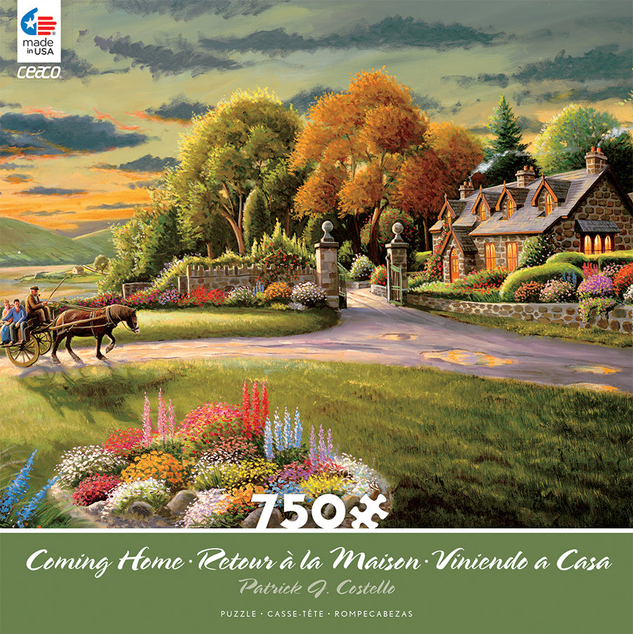 Hidden Harbor - Coming Home, Patrick J. Costello