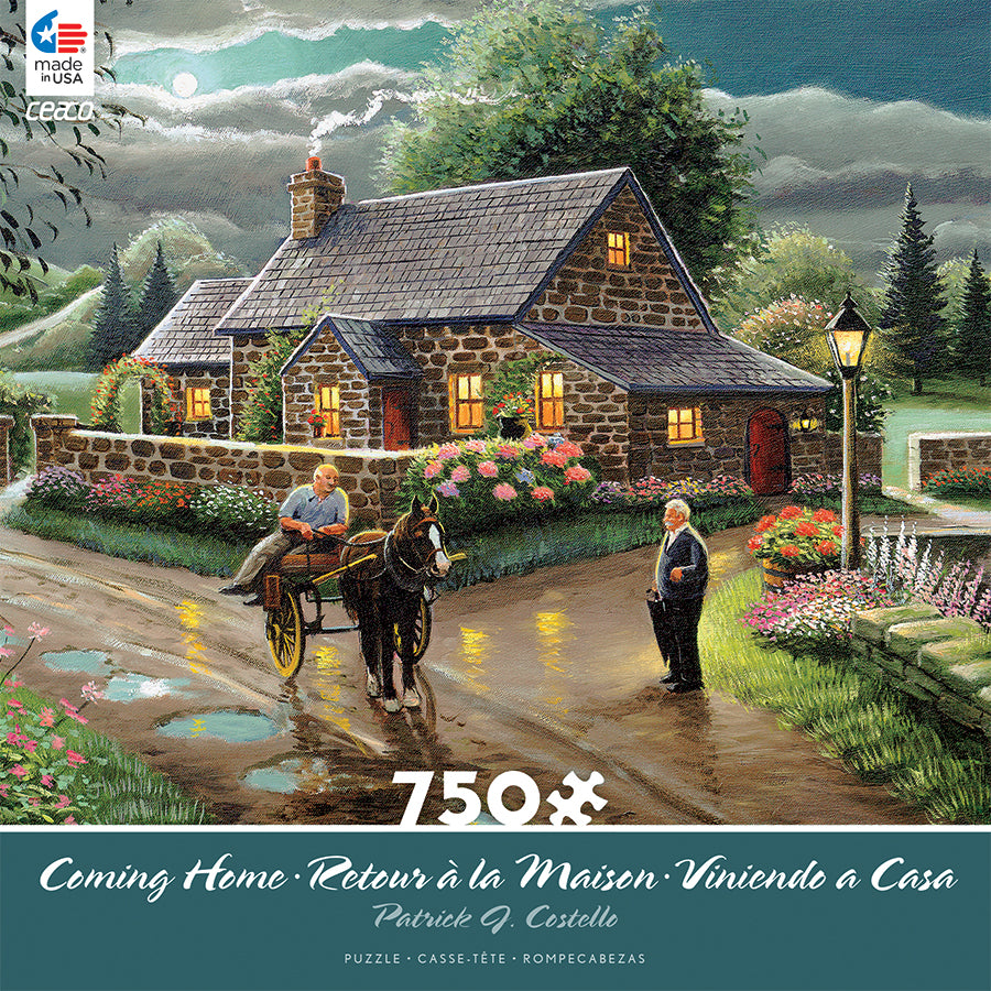 Lakeside Cottage - Coming Home, Patrick J. Costello