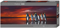King Penguins, AVH (Panorama)  (1000pcs)