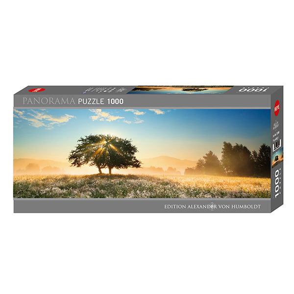 Play of Light, Alexander Von Humboldt (1000pcs)