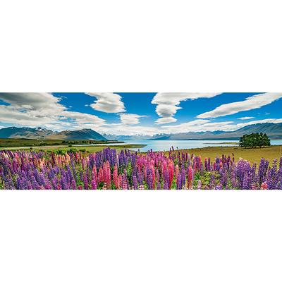 Lake Tekapo, Alexander von Humboldt (Panorama)