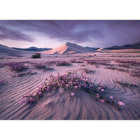 Arrow Dynamic, AVH (1000pcs)