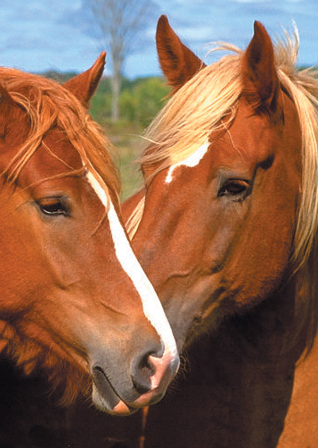 Animals Mini Puzzle (2 Brown and White Horses)