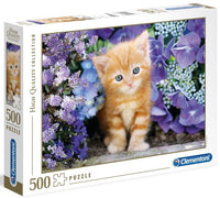 Chat de gingembre dans les fleurs, Greg Cuddiford