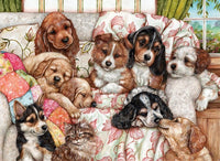 Chiots, Debbie Cook (1000pcs)