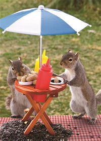 Mangeoire d'écureuil