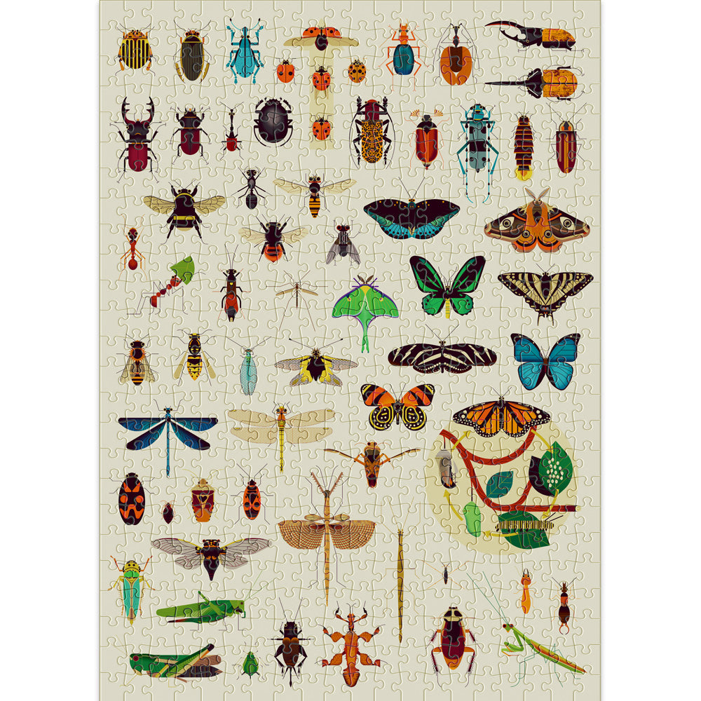 Insects