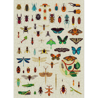 Insects