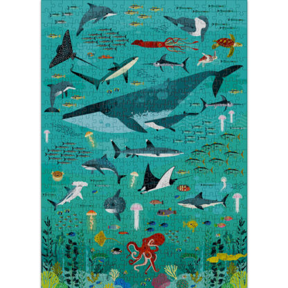 Ocean