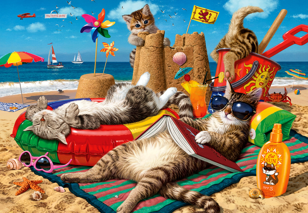 Chats sur la plage, Steve Read