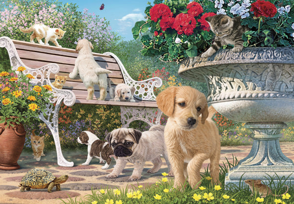 Les animaux de compagnie se cachent, Steve Read