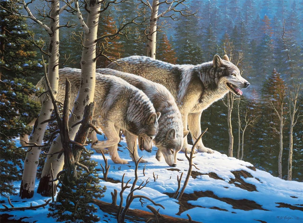 Wolves, R.W. Hedge