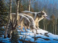 Wolves, R.W.