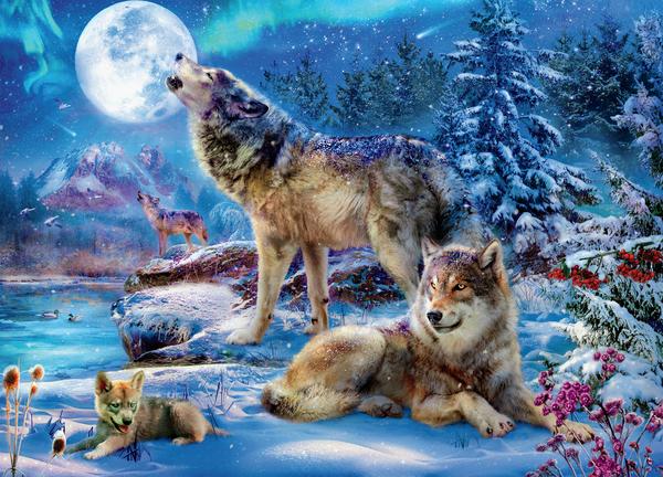 Wolves - Winter Wolf Family