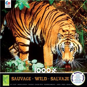 Bengal Tiger