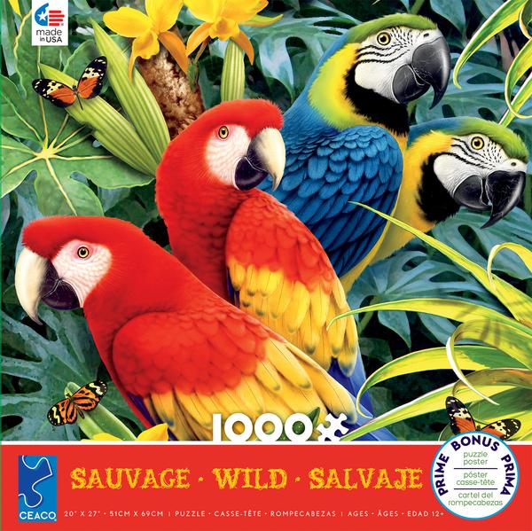 Wild - Majestic Macaws