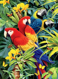 Wild - Majestic Macaws