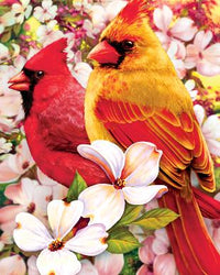 Cardinals du printemps, Greg Giordano