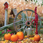 Récolte de citrouille