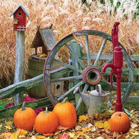 Récolte de citrouille