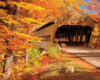 Pont couvert d'automne