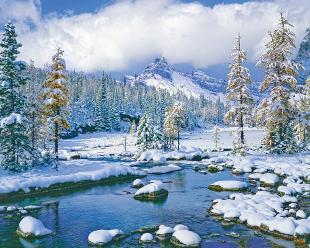 Winter Paradise
