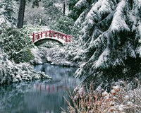 Nature's Crossing- JigsawJungle.com