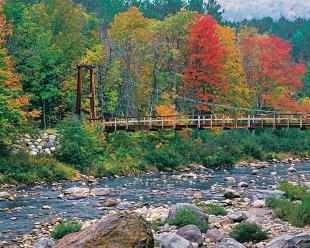 Colorful Crossing